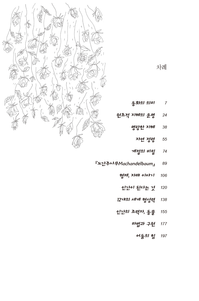 cover 7