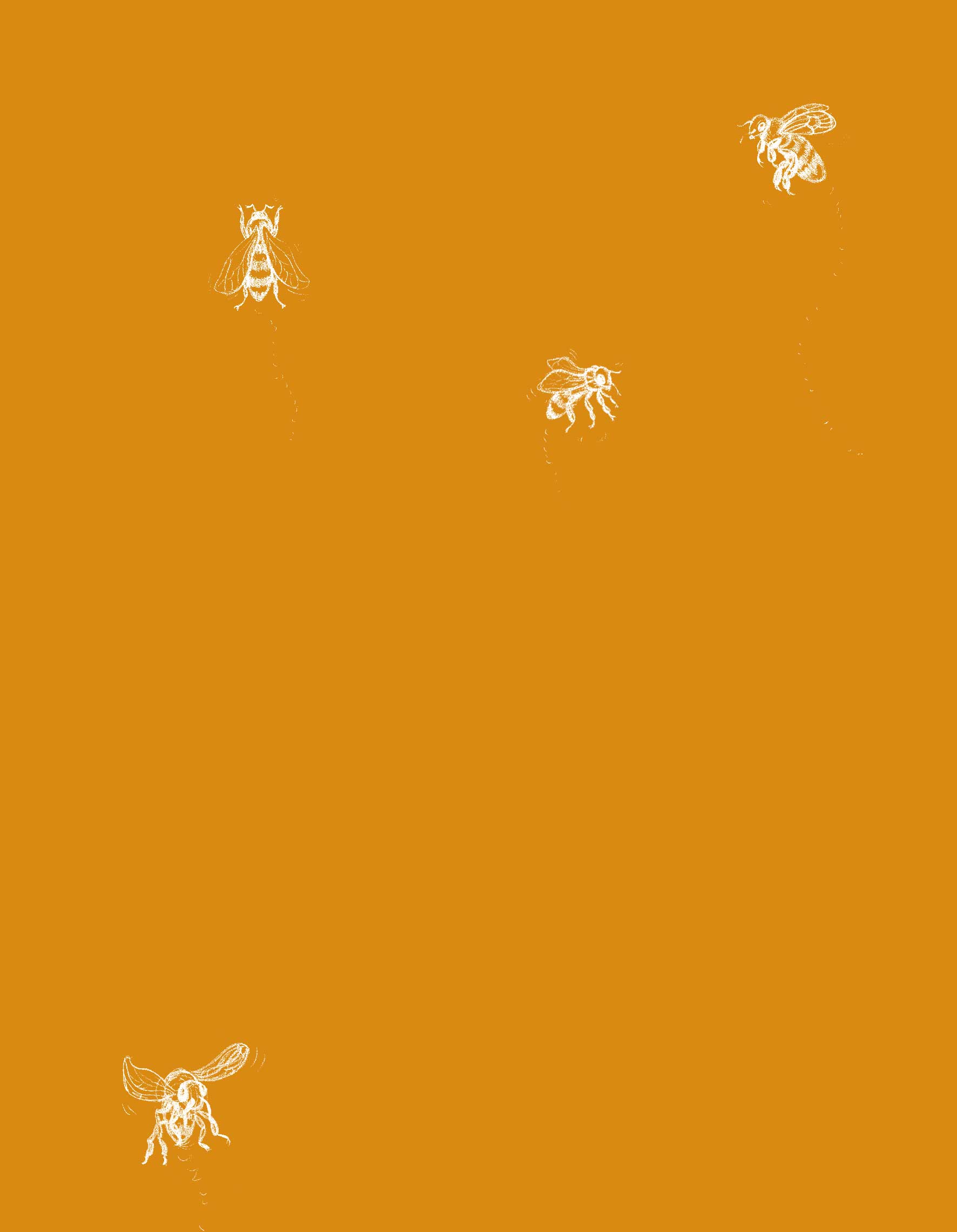 cover 2