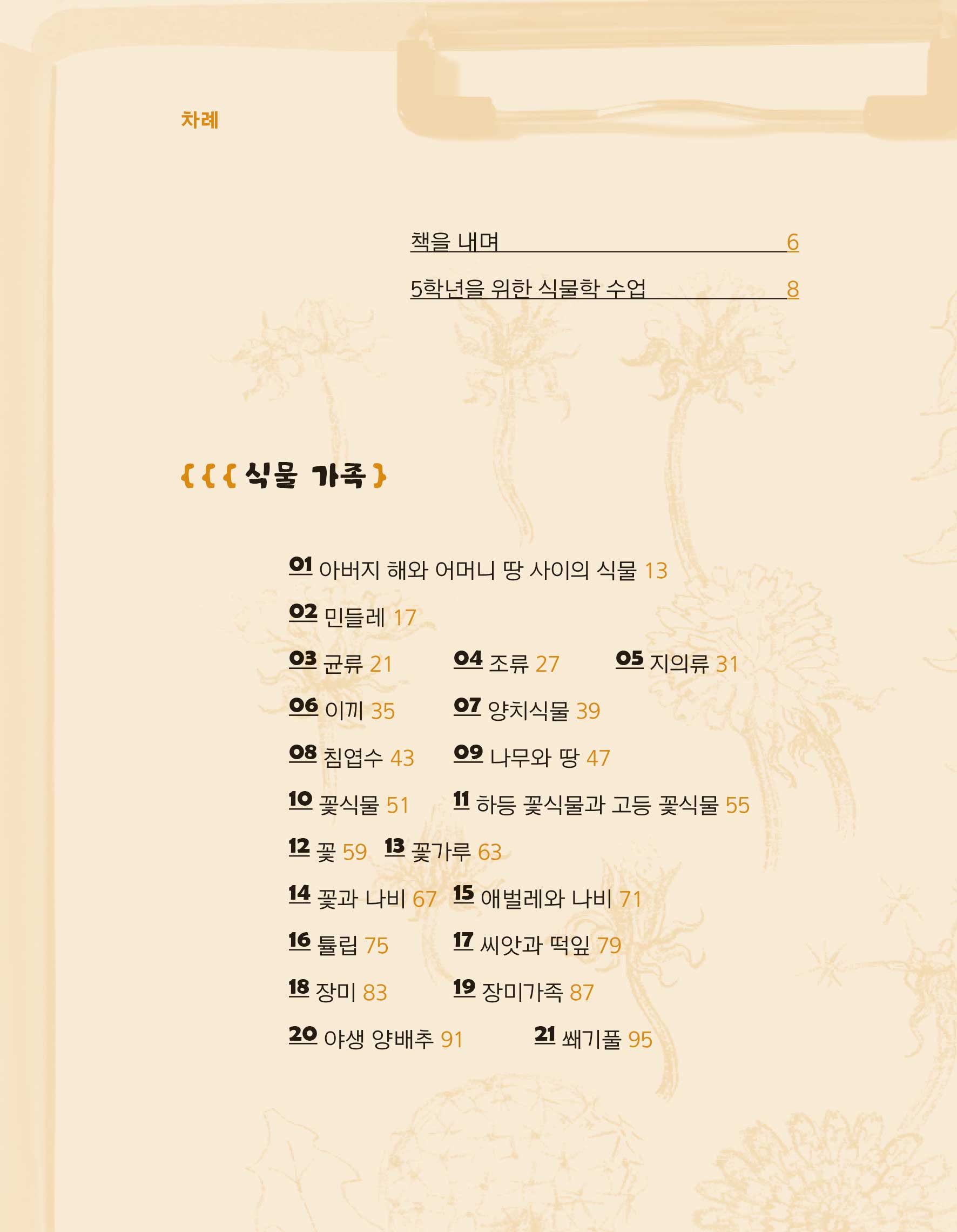 cover 6
