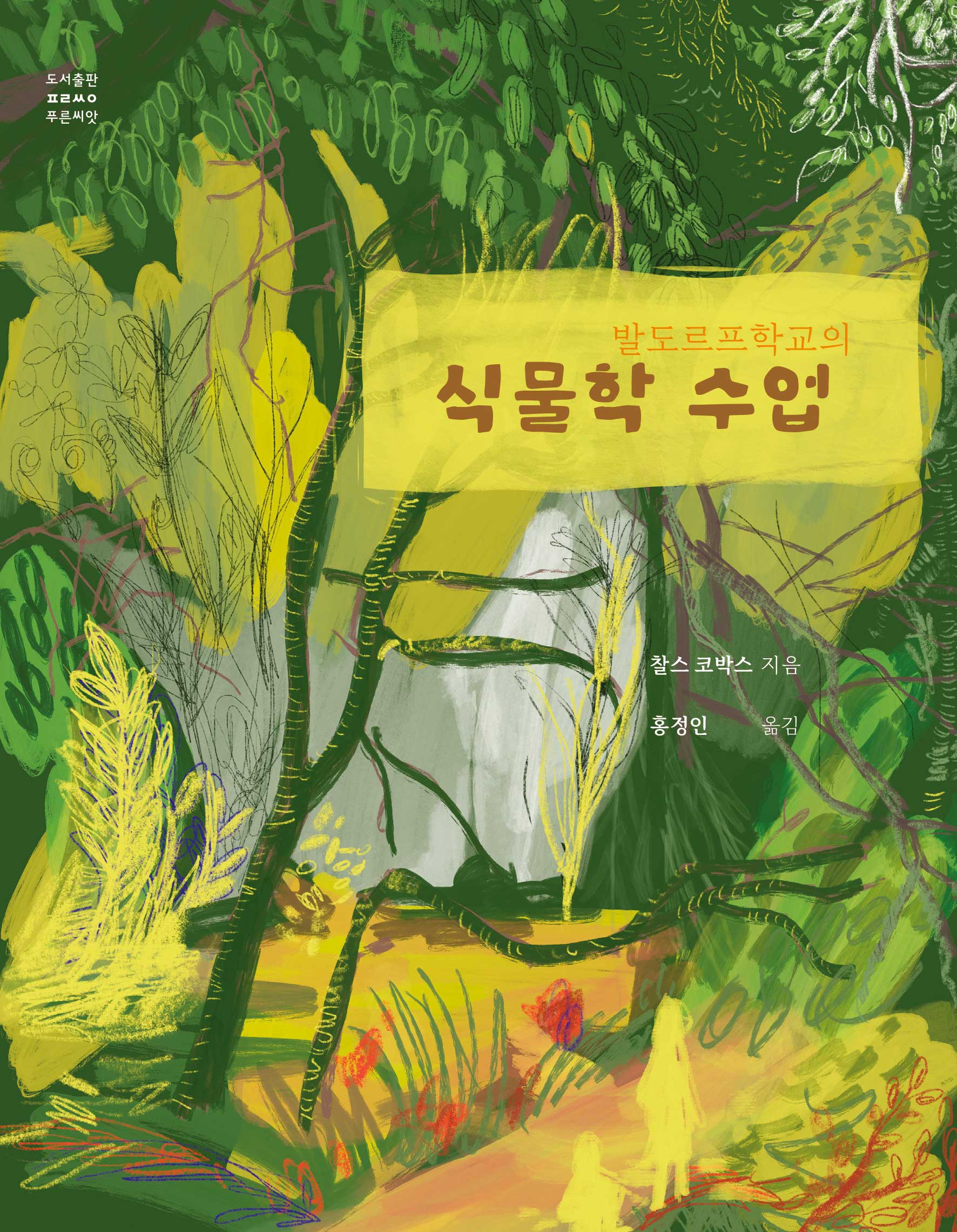 대표 이미지