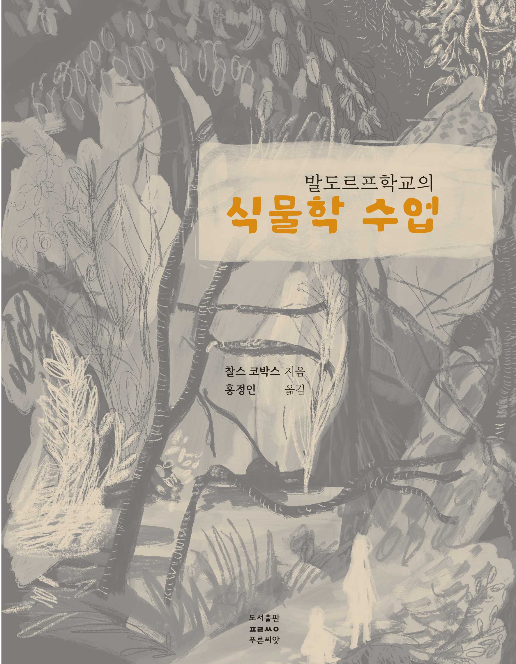cover 5
